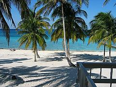 20060126213758-maria-gorda.jpg